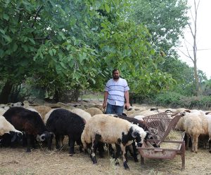 Kartal Kartal Adak Kurban Satış Yeri